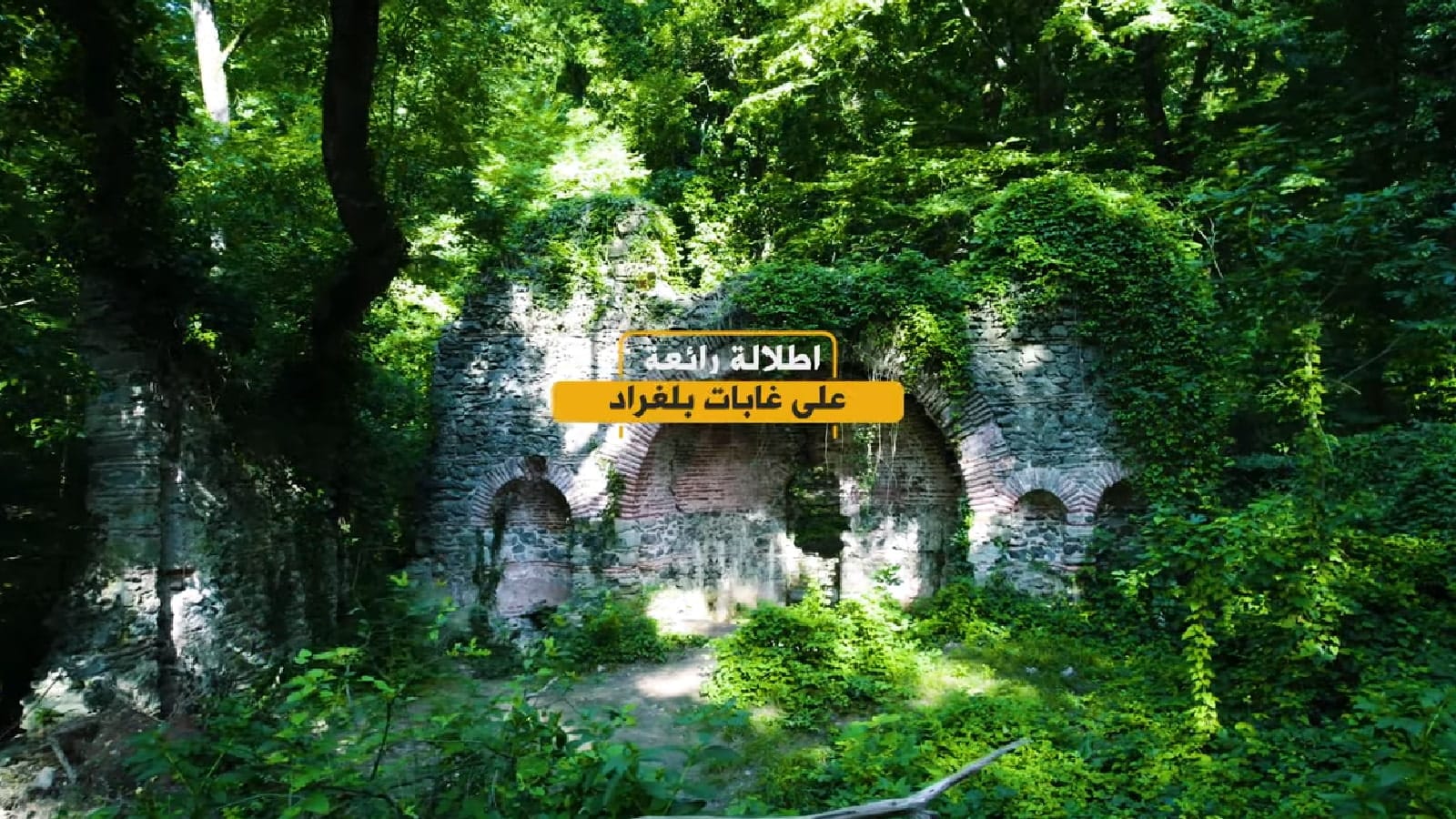 أرض للبيع في إسطنبول تركيا إطلالة غابات بلغراد